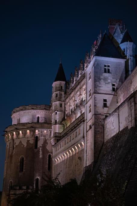 Appartamento Le Concorde En Plein Centre Amboise Esterno foto